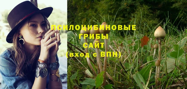 винт Армянск