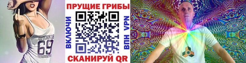 Псилоцибиновые грибы прущие грибы  даркнет сайт  Демидов 